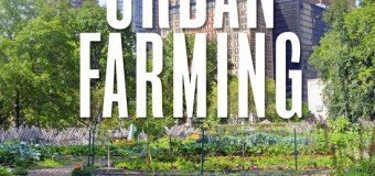 Moestuin boek review Urban Farming Lifestyleblog Foodinista