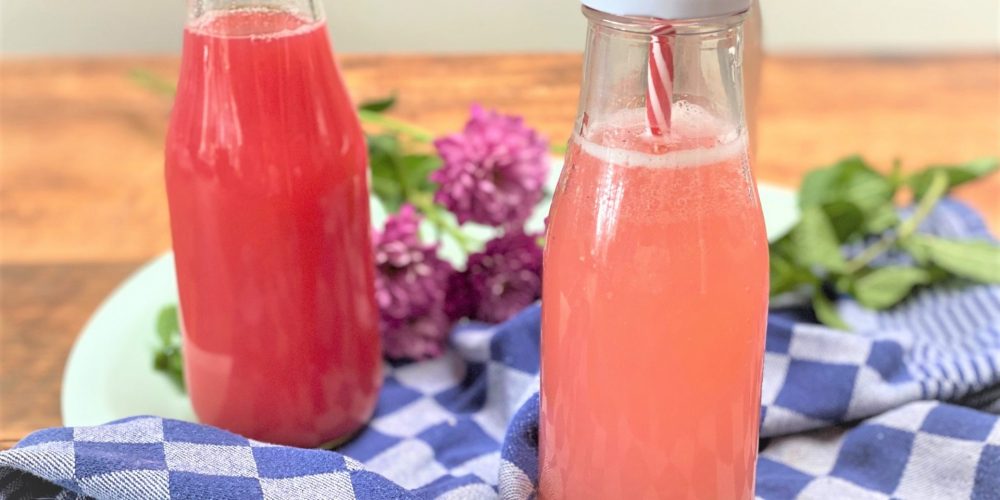 Zelf Rabarber frambozen siroop en compote maken in 1 recept! - Beiden suikervrij