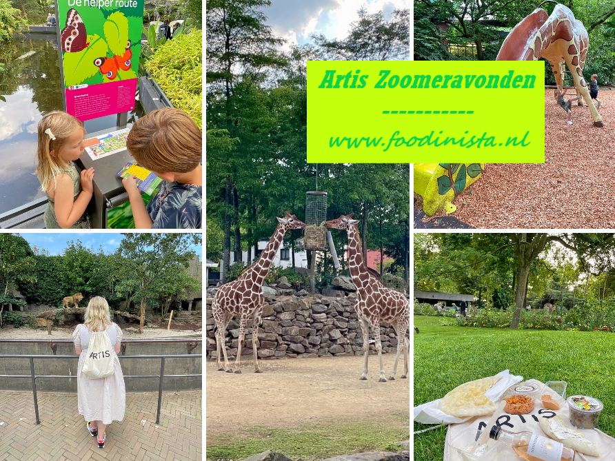 Artis ZOOmeravonden Amsterdam dierentuin