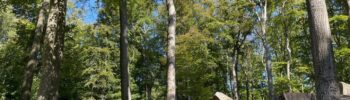 Tips in Duitsland - Waarom Duitsland zo mooi is - Reizen met Foodinista