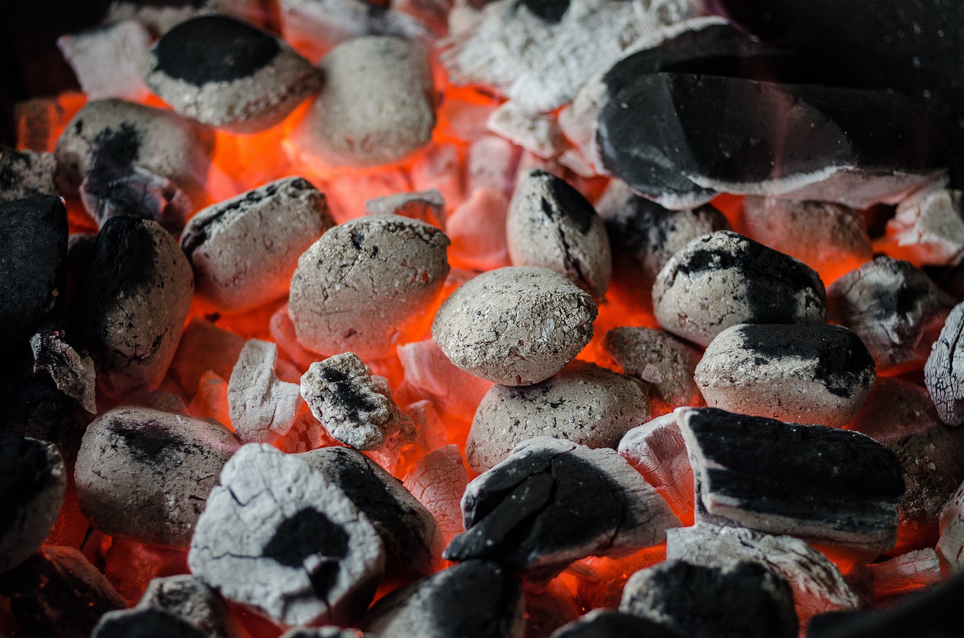Een zomerfeest zonder gedoe: hoe een barbecue met begeleiding je avond verandert - Tips van Foodinista